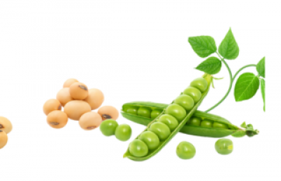 Rostlinné proteinové izoláty, je plantbased (r)evolucí v sondové výživě?